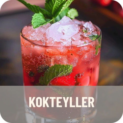 KOKTEYLLER